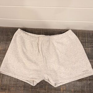 Aritzia Heather Gray Casual Shorts